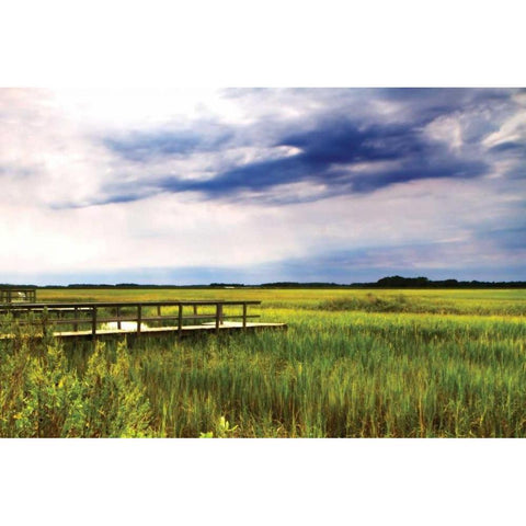 Marshland Storm I Gold Ornate Wood Framed Art Print with Double Matting by Hausenflock, Alan