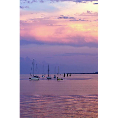 St. Augustine Harbor Sunset IV Gold Ornate Wood Framed Art Print with Double Matting by Hausenflock, Alan