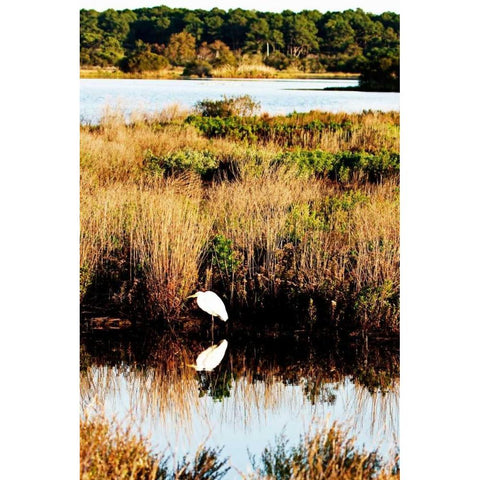 Assateague Island II Black Modern Wood Framed Art Print with Double Matting by Hausenflock, Alan