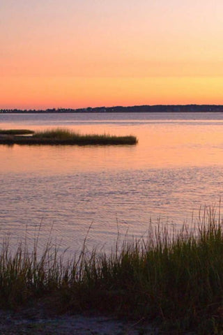 Chincoteague Sunrise IV Black Ornate Wood Framed Art Print with Double Matting by Hausenflock, Alan