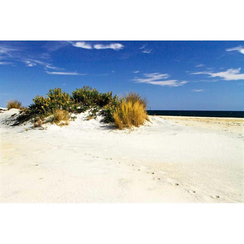 Assateague Beach III Gold Ornate Wood Framed Art Print with Double Matting by Hausenflock, Alan