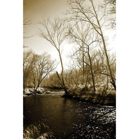 Winter on the Neuse River Black Modern Wood Framed Art Print by Hausenflock, Alan