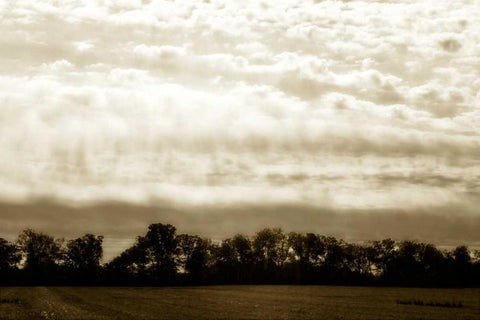 Clouds and Fields I White Modern Wood Framed Art Print with Double Matting by Hausenflock, Alan