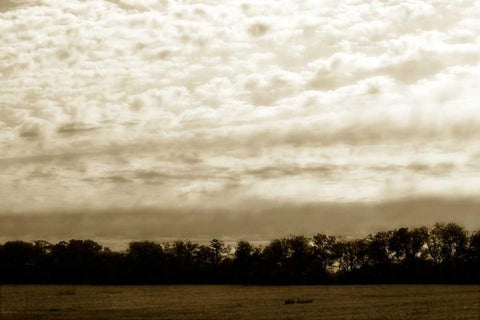 Clouds and Fields II White Modern Wood Framed Art Print with Double Matting by Hausenflock, Alan