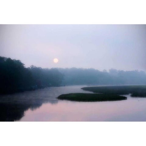 Fog on the Mattaponi I White Modern Wood Framed Art Print by Hausenflock, Alan