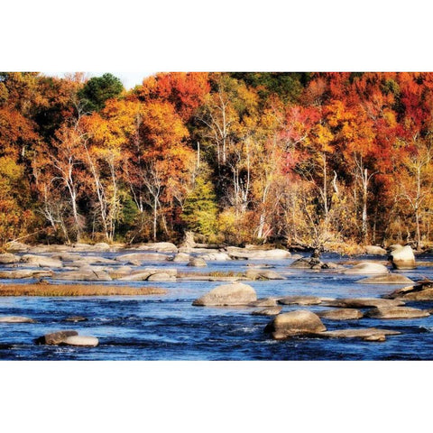 Autumn on the River II Gold Ornate Wood Framed Art Print with Double Matting by Hausenflock, Alan