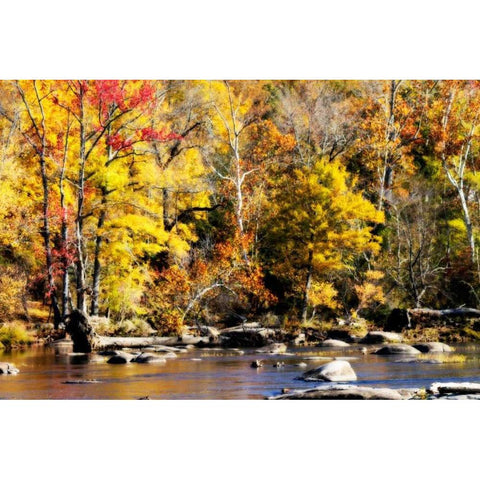 Autumn on the River VII Black Modern Wood Framed Art Print by Hausenflock, Alan