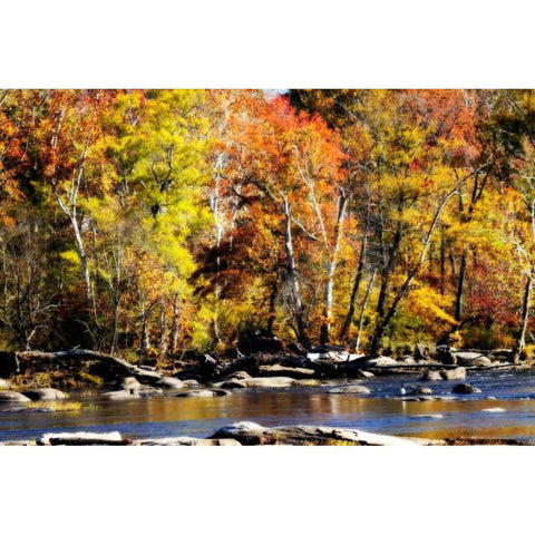 Autumn on the River VIII Black Modern Wood Framed Art Print with Double Matting by Hausenflock, Alan