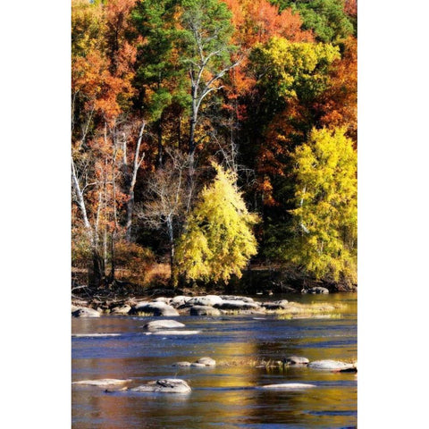 Autumn on the River IX Black Modern Wood Framed Art Print with Double Matting by Hausenflock, Alan