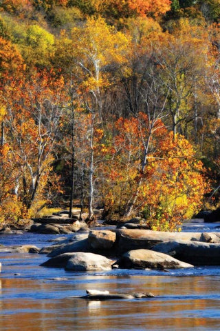 Autumn on the River I0 White Modern Wood Framed Art Print with Double Matting by Hausenflock, Alan