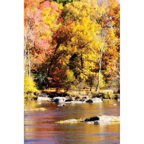 Autumn on the River II Gold Ornate Wood Framed Art Print with Double Matting by Hausenflock, Alan