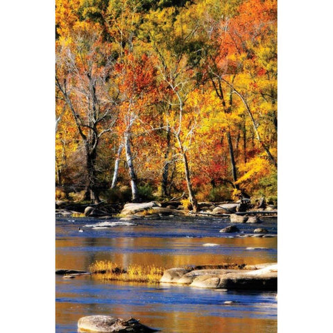 Autumn on the River I2 Gold Ornate Wood Framed Art Print with Double Matting by Hausenflock, Alan