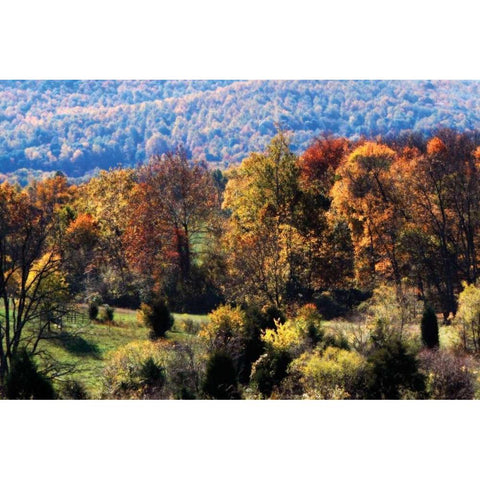 Autumn Foothills I White Modern Wood Framed Art Print by Hausenflock, Alan