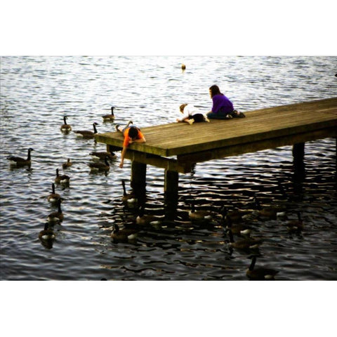 Feeding the Geese III Black Modern Wood Framed Art Print with Double Matting by Hausenflock, Alan