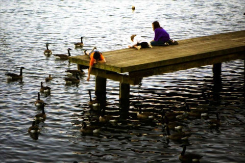 Feeding the Geese III Black Ornate Wood Framed Art Print with Double Matting by Hausenflock, Alan