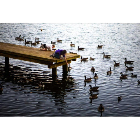 Feeding the Geese IV Gold Ornate Wood Framed Art Print with Double Matting by Hausenflock, Alan