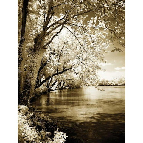 Spring on the River I Black Modern Wood Framed Art Print with Double Matting by Hausenflock, Alan