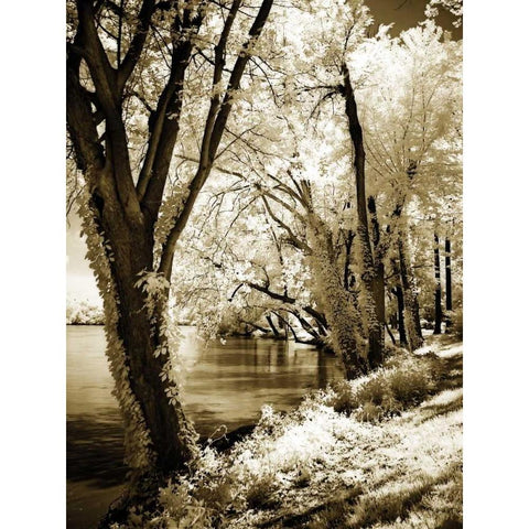 Spring on the River II Gold Ornate Wood Framed Art Print with Double Matting by Hausenflock, Alan