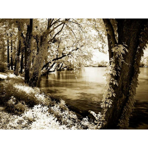 Spring on the River III Black Modern Wood Framed Art Print with Double Matting by Hausenflock, Alan