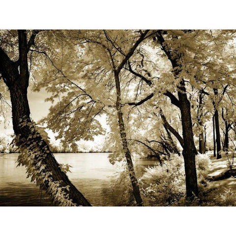 Spring on the River IV White Modern Wood Framed Art Print by Hausenflock, Alan