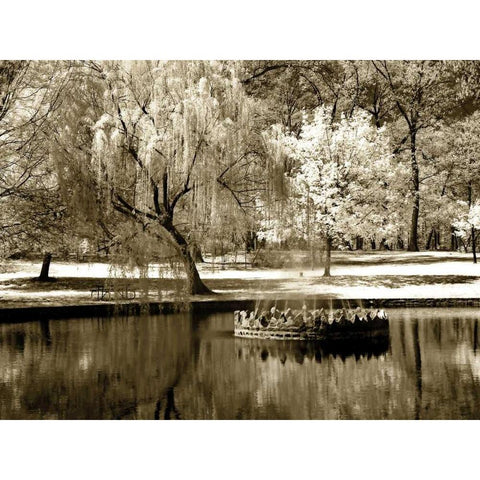 Bryan Pond I Gold Ornate Wood Framed Art Print with Double Matting by Hausenflock, Alan