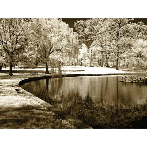 Bryan Pond II White Modern Wood Framed Art Print by Hausenflock, Alan