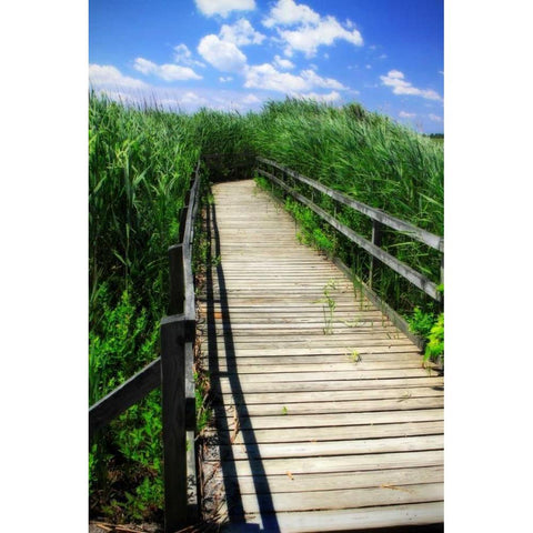 Wetland Walkway I Black Modern Wood Framed Art Print by Hausenflock, Alan