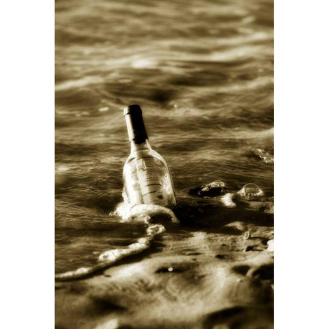 Message in a Bottle I Black Modern Wood Framed Art Print with Double Matting by Hausenflock, Alan