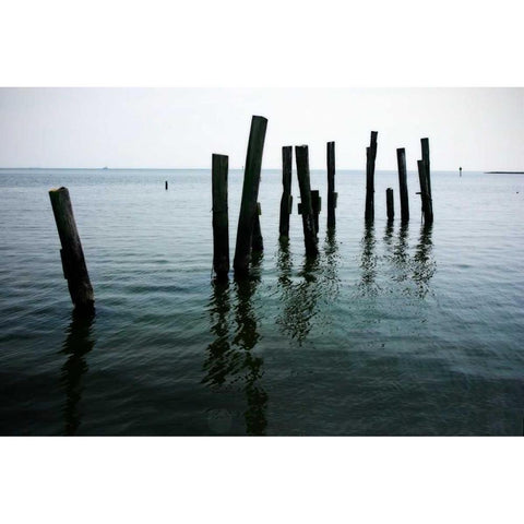 Pilings II Black Modern Wood Framed Art Print with Double Matting by Hausenflock, Alan