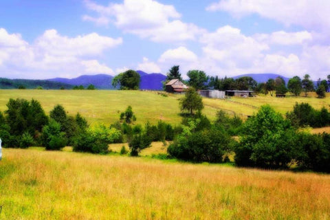 Blue Ridge Farm II White Modern Wood Framed Art Print with Double Matting by Hausenflock, Alan