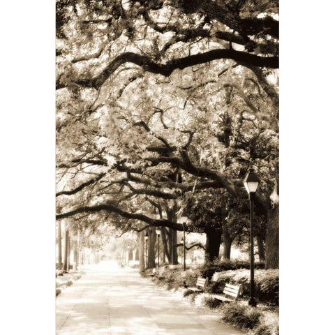 Savannah Sidewalk I Black Modern Wood Framed Art Print by Hausenflock, Alan