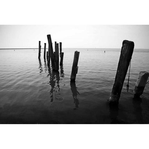 Pilings I Black Modern Wood Framed Art Print by Hausenflock, Alan