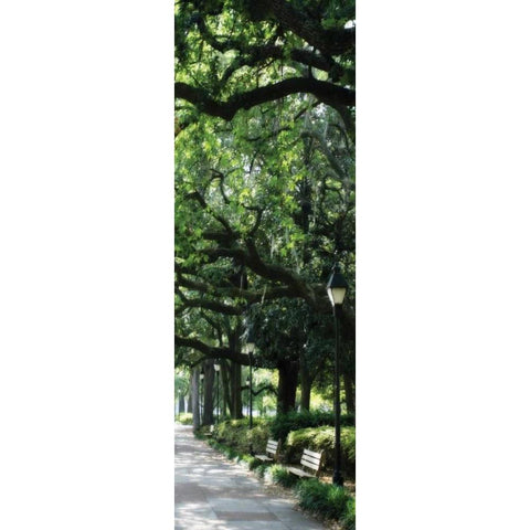 Savannah Sidewalk Panel I Gold Ornate Wood Framed Art Print with Double Matting by Hausenflock, Alan