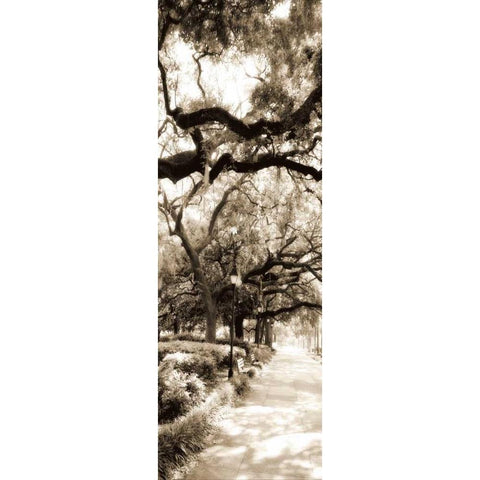 Savannah in Sepia II Black Modern Wood Framed Art Print by Hausenflock, Alan