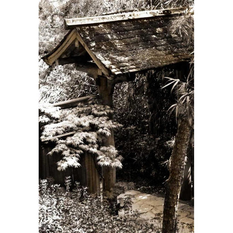Bamboo Garden II Black Modern Wood Framed Art Print by Hausenflock, Alan