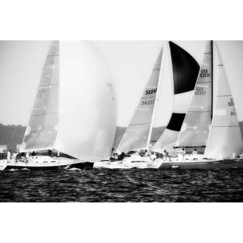 Race on the Chesapeake II White Modern Wood Framed Art Print by Hausenflock, Alan