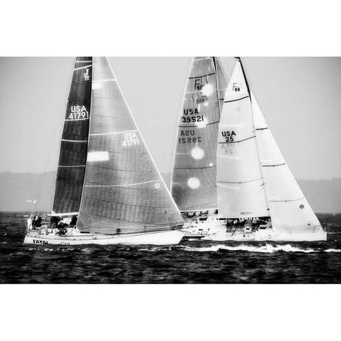 Race on the Chesapeake III White Modern Wood Framed Art Print by Hausenflock, Alan