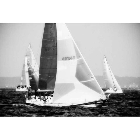 Race on the Chesapeake IV White Modern Wood Framed Art Print by Hausenflock, Alan