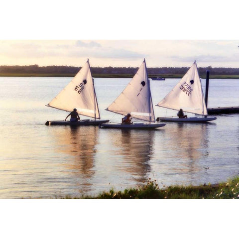 Three Sunfish I White Modern Wood Framed Art Print by Hausenflock, Alan