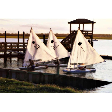 Three Sunfish II Black Modern Wood Framed Art Print by Hausenflock, Alan