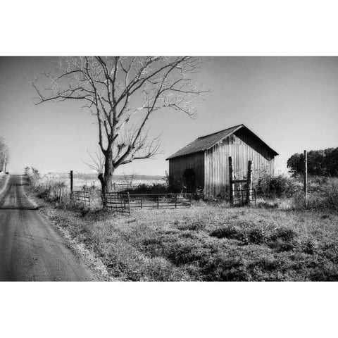 Rural Route VI32 II Black Modern Wood Framed Art Print with Double Matting by Hausenflock, Alan