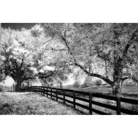 Rural Route III3 I Black Modern Wood Framed Art Print with Double Matting by Hausenflock, Alan