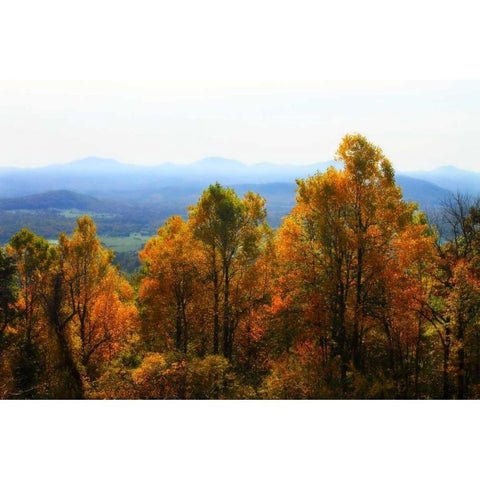 Shenandoah Valley I Gold Ornate Wood Framed Art Print with Double Matting by Hausenflock, Alan