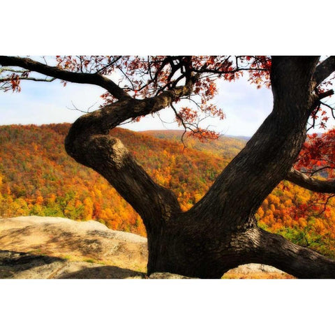 Wildcat Ridge II Black Modern Wood Framed Art Print by Hausenflock, Alan