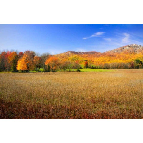 Old Rag Mountain I Gold Ornate Wood Framed Art Print with Double Matting by Hausenflock, Alan