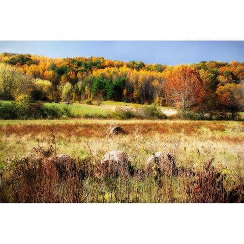 Sperryville Fields II Gold Ornate Wood Framed Art Print with Double Matting by Hausenflock, Alan