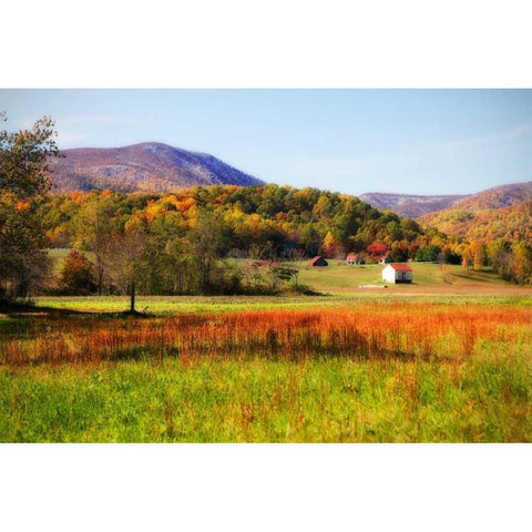 Autumn Fields II White Modern Wood Framed Art Print by Hausenflock, Alan