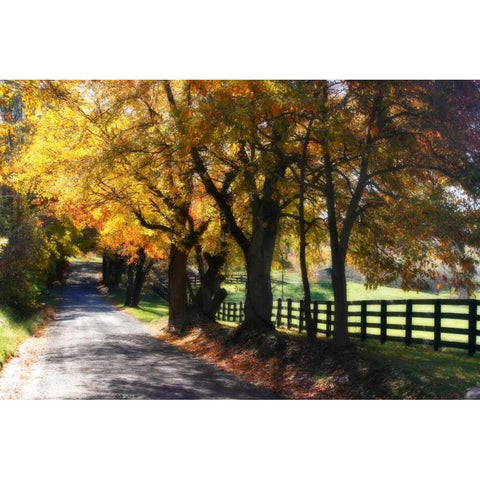 Country Road I White Modern Wood Framed Art Print by Hausenflock, Alan