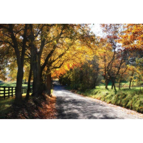 Country Road II White Modern Wood Framed Art Print by Hausenflock, Alan