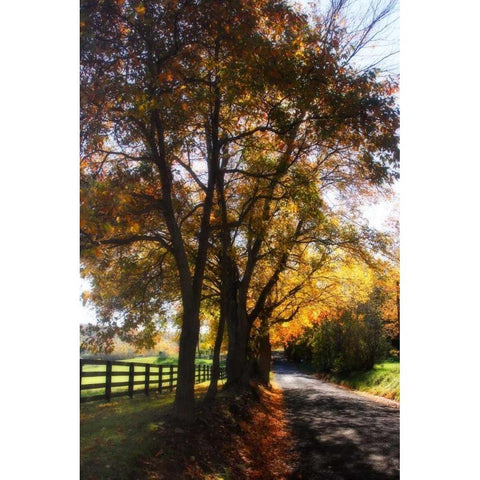 Country Road III White Modern Wood Framed Art Print by Hausenflock, Alan